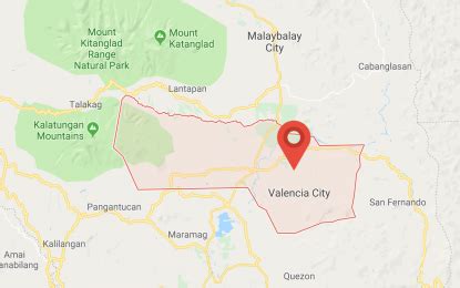 valencia city bukidnon map